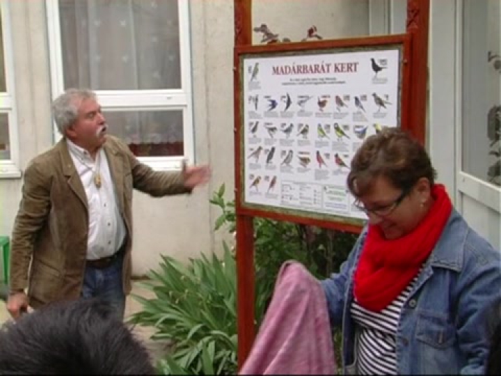 Madarak és fák napja