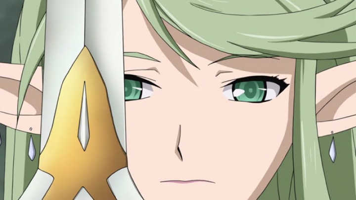 Seisen Cerberus - Ryuukoku no Fatalite 11