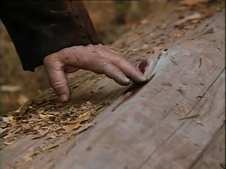 A viharhely óriása