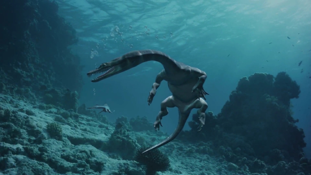 Тайны океана документальные. Морские динозавры 3d: путешествие в доисторический мир. Морские динозавры 3d: путешествие в доисторический мир (20. Динозавры морские чудовища.