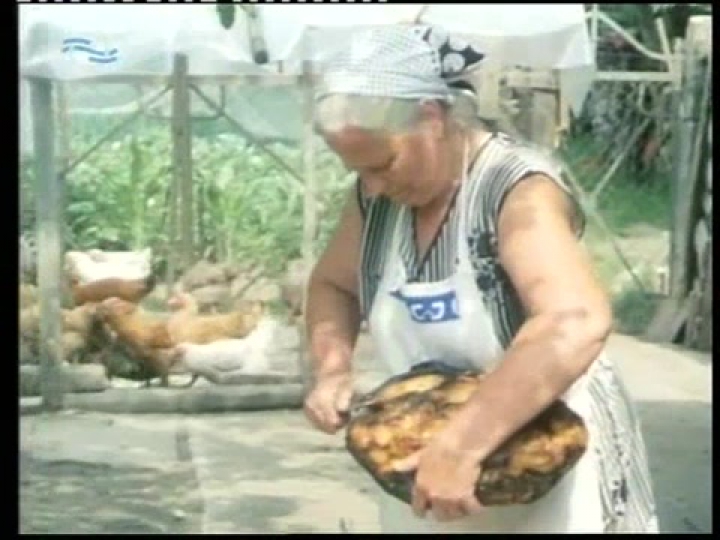 Kerekek és lépések 17. (vágatlan változat)