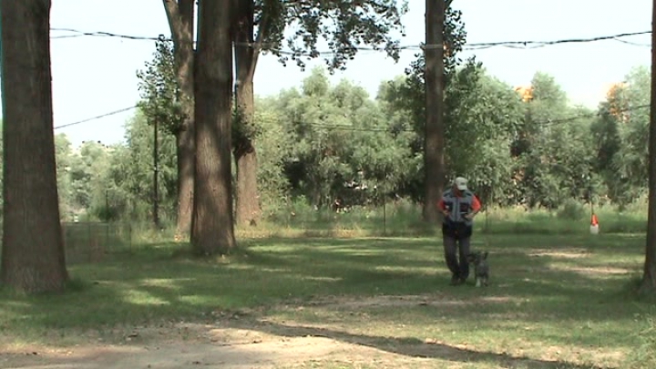 Rengei Laci és Maci E1-es vizsga