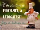 NAPI ZÁRÓ 1