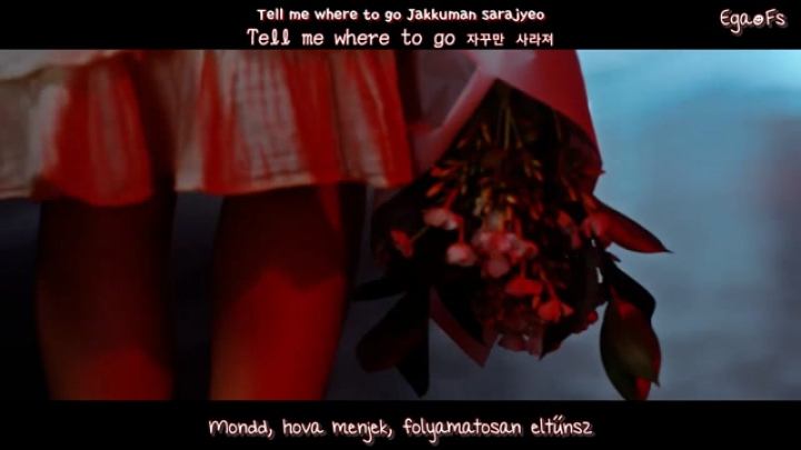 FT Island - TAKE ME NOW MV hun [Egao Fs]