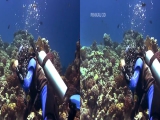 3D Demo - Nature - 3D Side by Side (SBS)