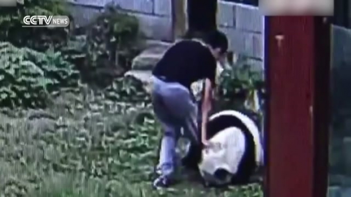 Kung-fu Panda tényleg létezik