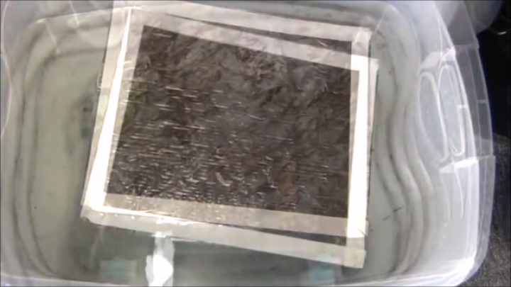 Hydrographics- Water Transfer Printing-VTN