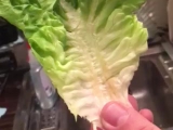Műanyag saláta