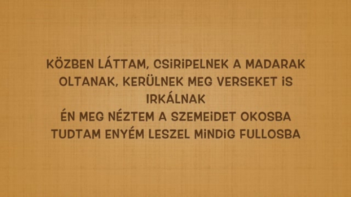 MAXBEARD & KENNEL33 & MR. BUSTA & SHAWN - ELLOPTAD DALSZÖVEG (LYRICS)