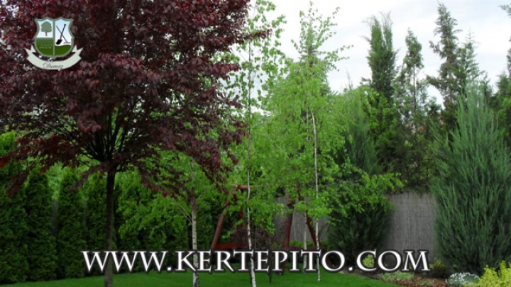 Durucz Kert - A szép kerthez vezető út