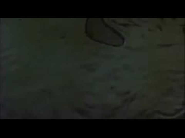 Szörnyecskék 2. - Az új falka