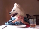 A kutya vacsorája