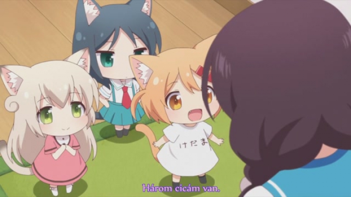 Nyanko Days 1.rész [Magyar Felirattal] HD