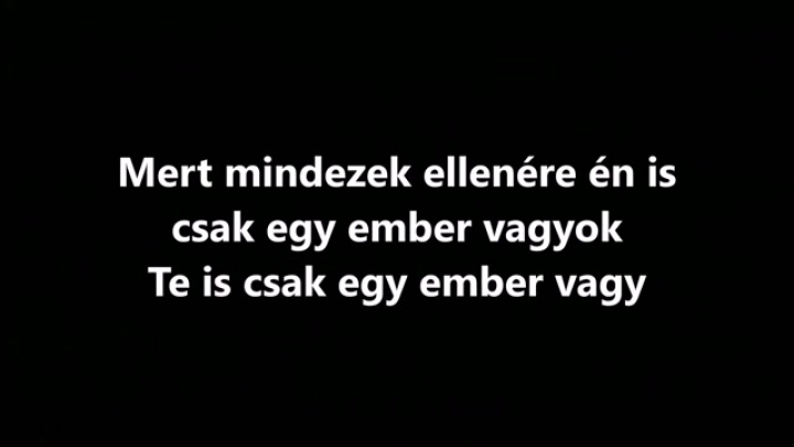 RagnBone Man - Human (Hungarian lyricsMagyar felirat)