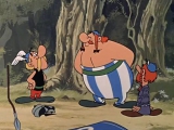 Asterix, a gall