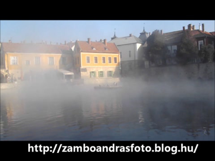 Természet a városban