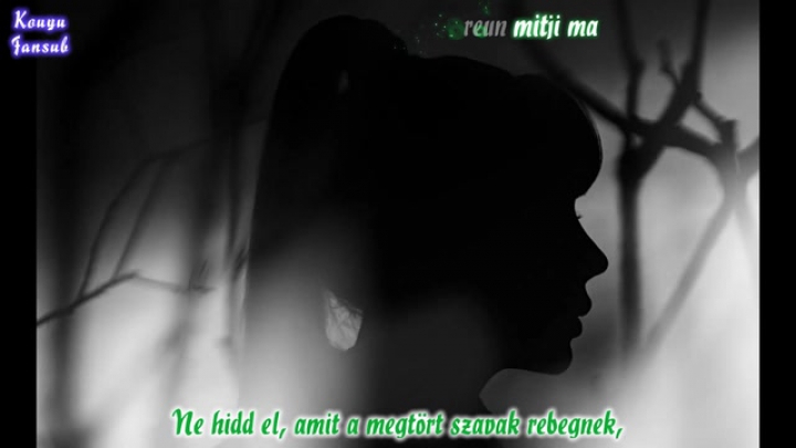 2ne1 - Goodbye