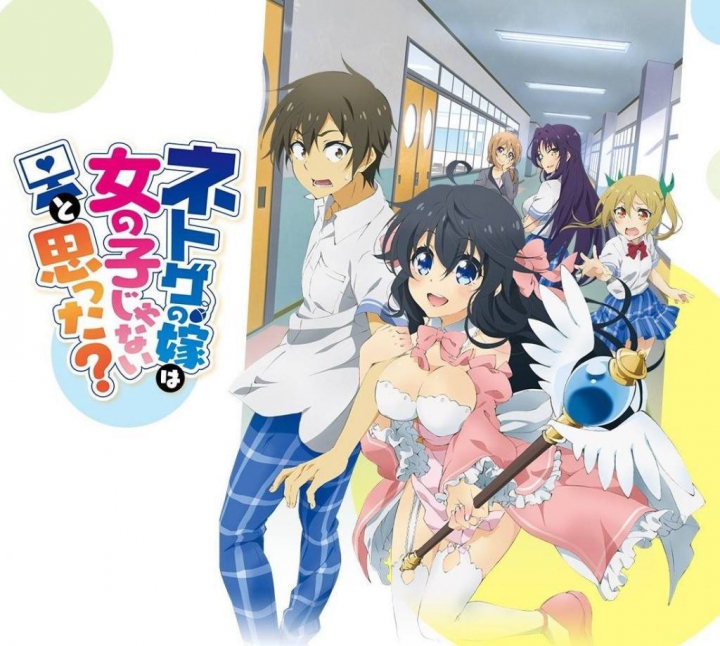 Netoge no Yome wa Onnanoko ja Nai to Omotta - 11 BD (Magyar Feliratal)