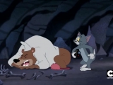 Tom és Jerry újabb kalandjai S02E06