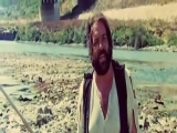 4 légy a szürke bársonyon