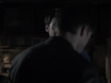 Dami 1x8
