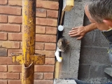Macska mentés az építkezésen