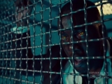 Wynonna Earp 2x01 (magyar felirat)