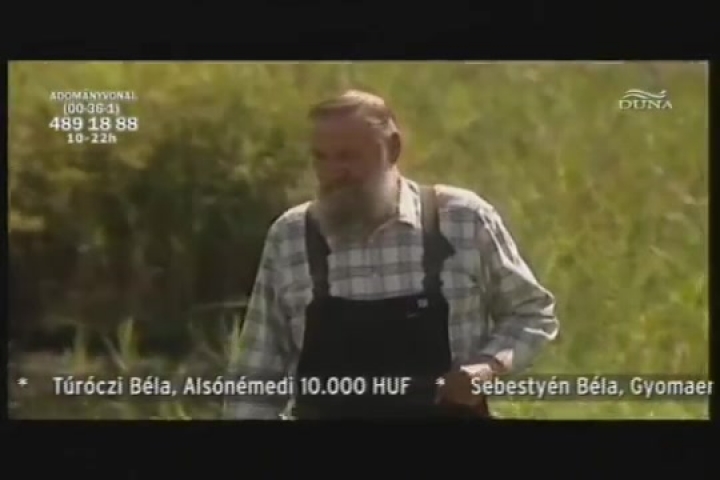 víz