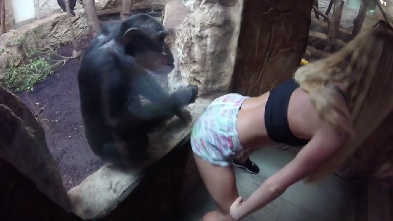 Ape Fucks Woman