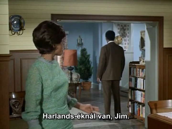 Támadás egy idegen bolygóról S02ep22