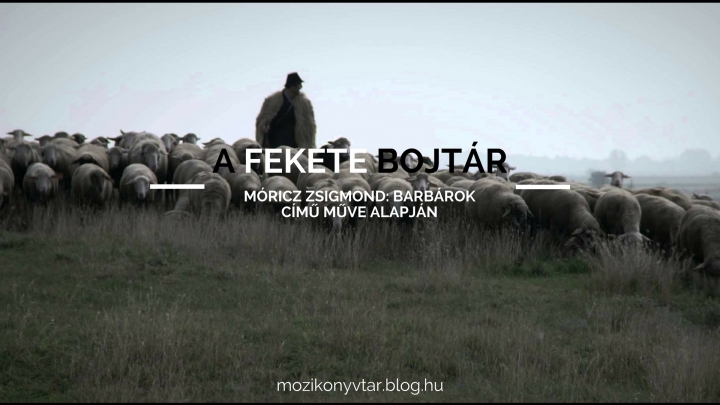 A fekete bojtár [Móricz Zsigmond: Barbárok]