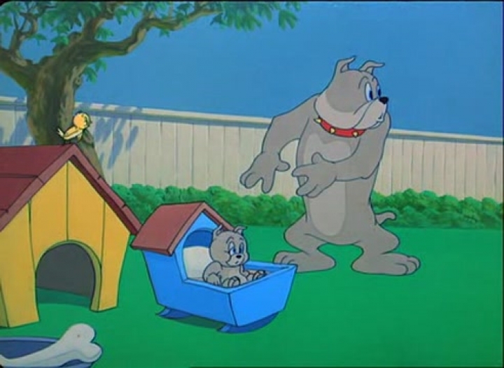 0705-Csuklos Buldog