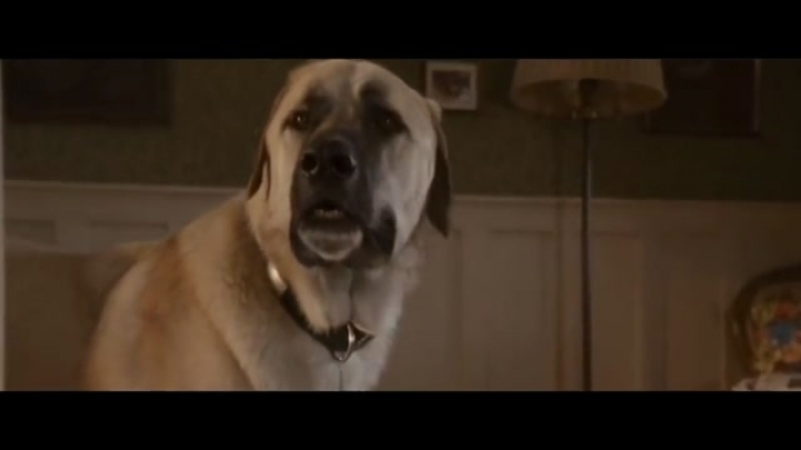 FLUFFY TRAILER CAPTAIN AMERICA  CIVIL WAR