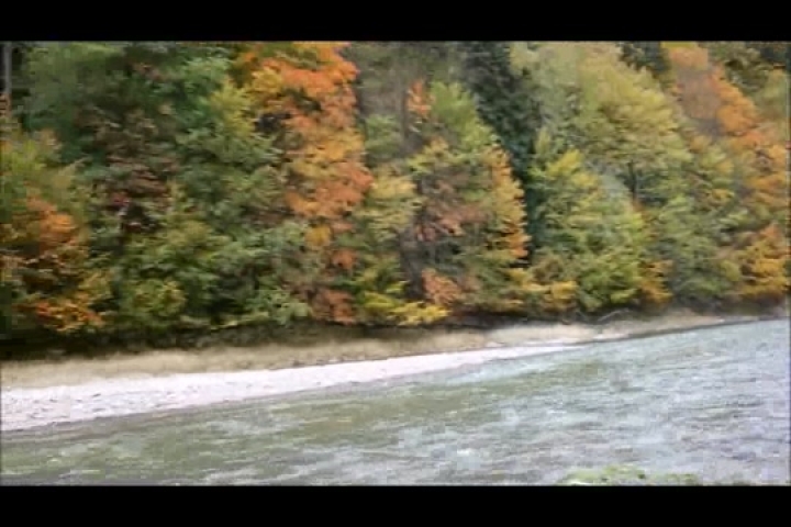 Dunajec tutajozás III