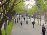 Radiant Office - 11. rész (Hun sub - PengSang...