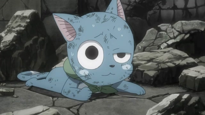 Fairy Tail 245.rész - Magyar felirattal HD