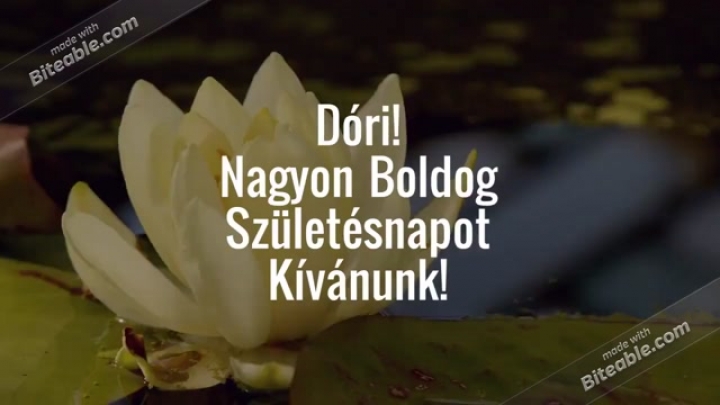 Dóri szülinap