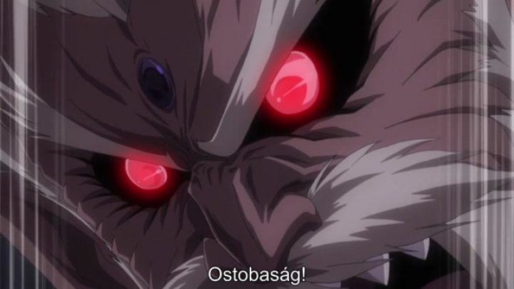Fairy Tail 262.rész - Magyar felirattal HD