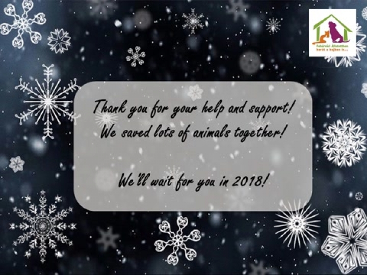 Christmas greetings from Herosz Animal Home, Székesfehérvár