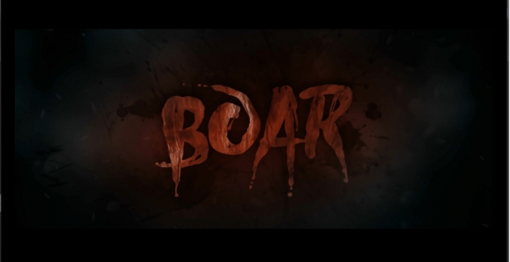 BOAR