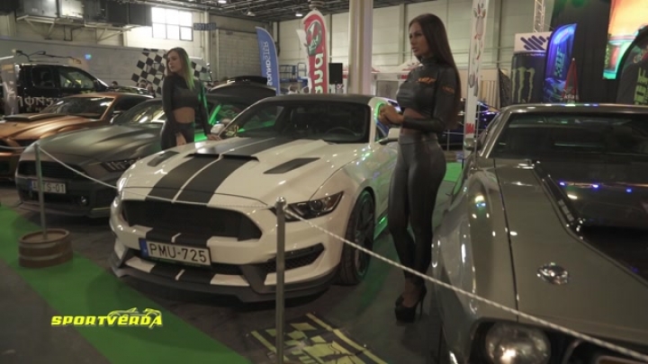 Lányok és Mustangok (DF Tuning) - SportVerda