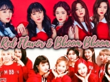 Red Velvet & Momoland - 'Red Flavor/Bboom...