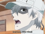 Hataraku Saibou 5.rész MAGYAR FELIRAT