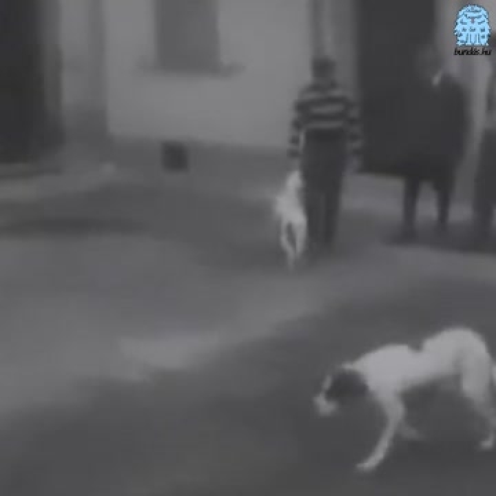 Fido