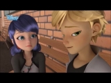 Miraculous Ladybug (Katicabogár és Fekete...