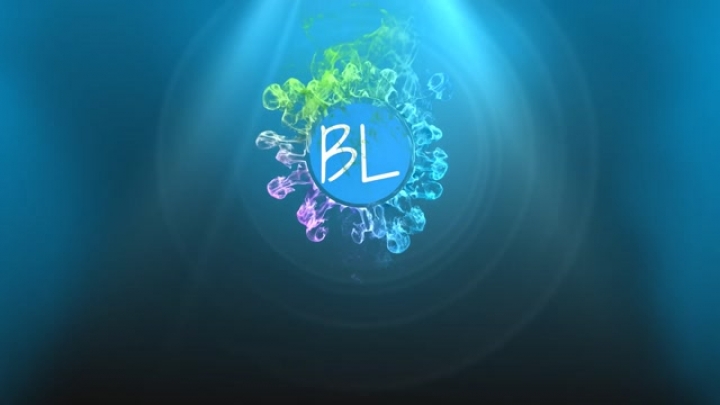 BLHUNSUB