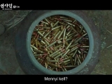 Mr Sunshine E13