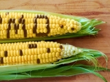 Jó vagy rossz a GMO?