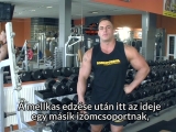 Bicepsz edzés// tanácsok 1// Krzysztof Piekarz