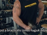 Bicepsz edzés// tanácsok 3// Krzysztof Piekarz